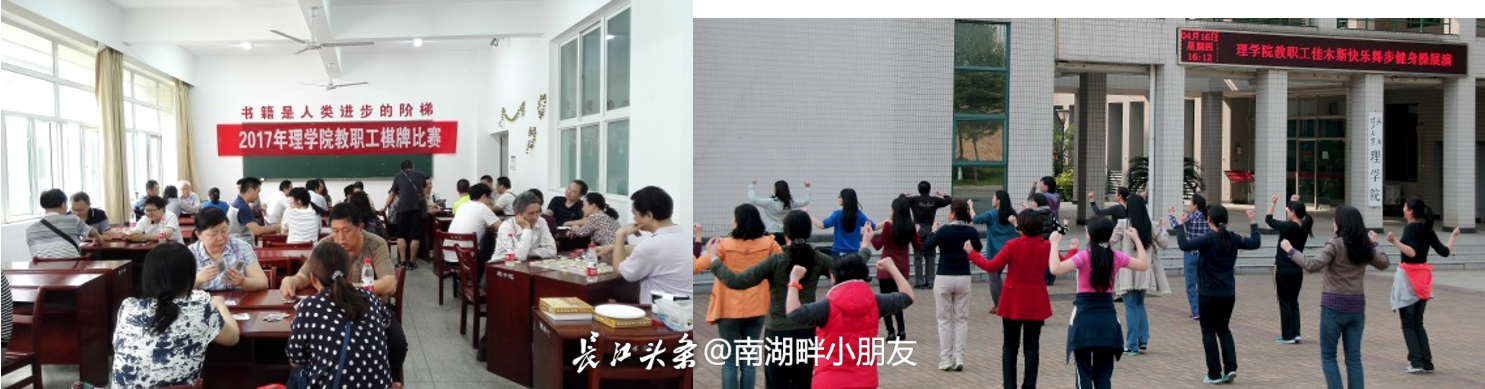 彩娱乐
